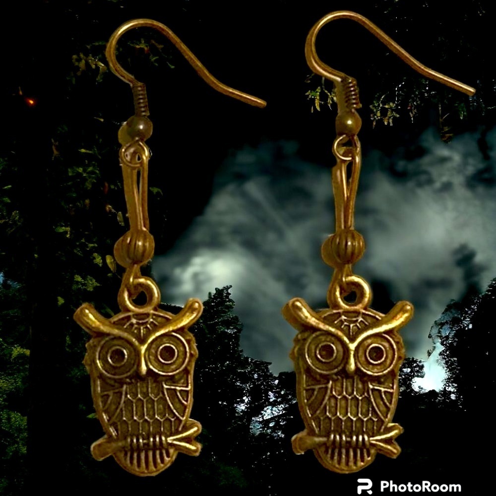 🦉 handmade owl dangle earrings with big eyebrows bronze birds cute gift new